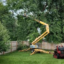 Best Firewood Processing and Delivery  in Maugansville, MD